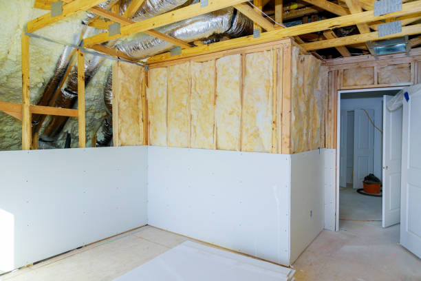 Best Commercial Insulation in Lanai City, HI