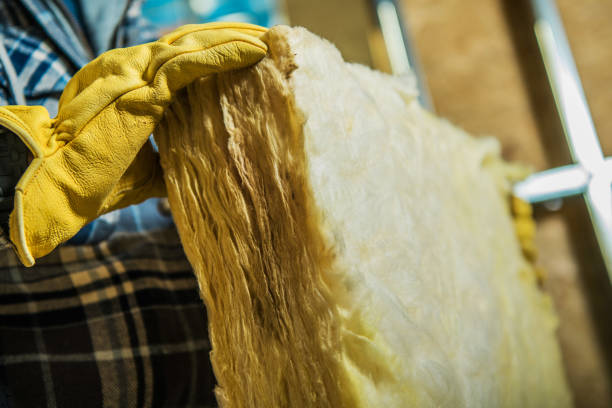 Best Cellulose Insulation in Lanai City, HI