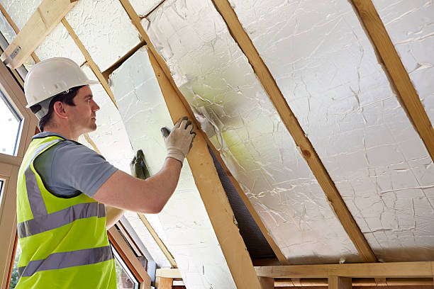 Best Insulation for Specific Applications in Lanai City, HI